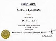 Aesthetic Excellence Hands On Course