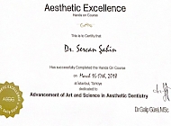 Aesthetic Excellence Hands On Course