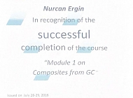 Module 1 On Composites From GC